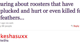 Ke$ha Assuages Fears About Alleged Rooster Slayings